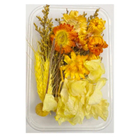 【A-ONE 匯旺】乾燥永生花 不凋滿天星 捧花胸花桌花花材 乾燥花束材料 不凋花玫瑰 鄉村風 拍攝道具(A10)