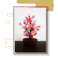 Pohon Imlek Angpao Bunga Sakura / Bonsai Tree 25 cm