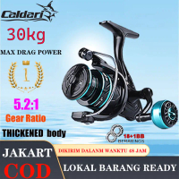 Caldari Reel Ikan Murah Kuat Metal reel pancing putar Alat pancing Laut Spinning mesin Outdoors Fish