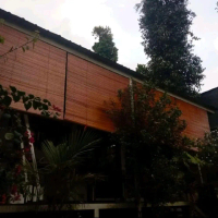 Tirai Sawit Plitur Ukuran L 100 cm x T 300 cm dengan Tali Penggulung Krey Bambu Warna Coklat Keemasa