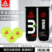 PEAK/匹克網球正品高彈性專業訓練回彈無壓耐打耐磨比賽羊毛用球