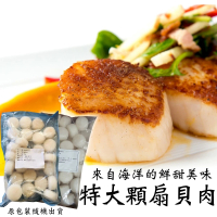【顧三頓】新鮮海味飽滿圓扇貝肉(2包_30-40顆/1kg/包)