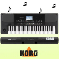 KORG / 專業編曲伴奏鍵盤電子琴 PA300 / 公司貨保固