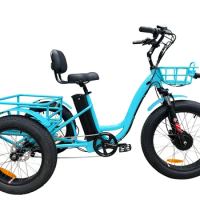Premium Large Wheel Full Fat Adult Fat Tire Electric Trike 750W Tricycle Electric Bike 3 Wheels With Adjustable Backrest