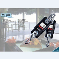 300kg 0.1kg Portable Digital Crane Scale 300KG 100g LCD Electronic Hanging Scale Stainless Steel Hook Loop Weighing Balance C300