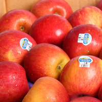 【愛蜜果】紐西蘭富士蘋果10顆禮盒x1盒(約2.5公斤/盒_一級)
