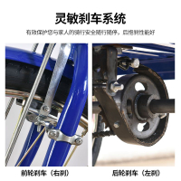 Guangdong Hot Selling Elderly-Style Bicycle 68-110cm Carriage Pedal Light and Labor-Saving Tricycle