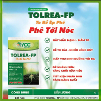 TOLREA ADC giúp lúa ra rễ, đẻ nhánh