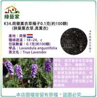 【綠藝家】K34.荷蘭薰衣草種子0.1克(約100顆)(狹葉薰衣草.真薰衣)
