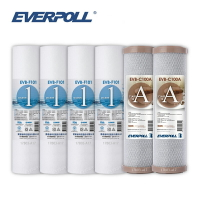 (共6入)EVERPOLL EVB-F101 1微米PP濾心4支 EVB-C100A壓縮活性碳棒濾心2支 大大淨水