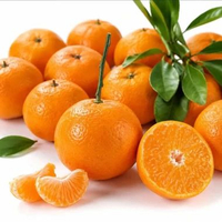 HasilSumberalaM Jeruk Honey Wokam Wogam Wogan Mandarin Orange 900 gr - 1 kg Baby Sweet Wokam