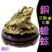 【吉祥開運坊】三腳金蟾蜍系列【招財金蟾蜍 特大型 七星三腳蟾蜍 銅製 附底座】開光 擇日
