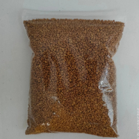 BIJI KLABET (KELABAT) ORGANIK