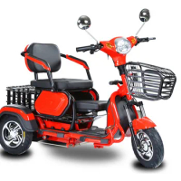 Adult Electric Tricycle Three wheelers 48V500W Differential Motor