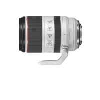 Canon RF 70-200mm F2.8 USM IS Full Frame Autofocus ZOOM Telephoto Portrait Animal Lens For Mirrorless Camera Lens R RP R5