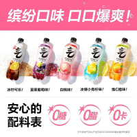 [GENKI FOREST] 0 Sugar 0 Fat 0 Calories Sparkling Soda 480MLx15 【元气森林】0糖0脂0卡苏打气泡水 480MLx15