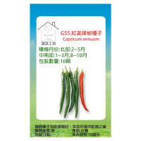 【蔬菜工坊】G55.紅美辣椒種子16顆
