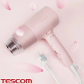 TESCOM 泰斯康 TD550ATW 白色輕巧大風量吹風機