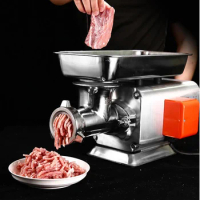 Electric Meat Grinder, Small Gray Kitchen Appliances, Household Use