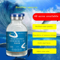 Bacillus for aquatic products 10g water diversion fertilizer water crayfish probiotics fish water purification