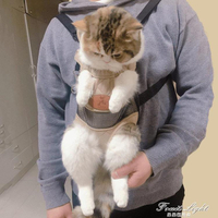 貓咪胸前包貓背帶貓包便攜外出攜帶溜貓背貓寵物出行外帶背包神器 樂樂百貨