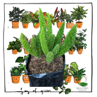 Vas Batu Asparagus Ekor Tupai Fern Artificial Untuk Dekorasi Meja Kantor Ornamen Pemurnian Udara - H