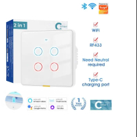 Tuya Saklar Lampu Pintar Dengan Type-C + Wifi + RF433 1/2/3/4 Gang Smart Switch Home Light Touch Wal