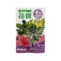 【蔬菜工坊002-B02】花寶4號2公斤