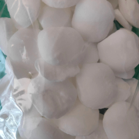 Taekwang  obat hama kayu original