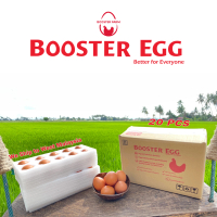 Booster Egg -20pcs I Organic Selenium Enriched I Pomegranate & Beetroot0 I 100% Vegetarian Fed I Fr