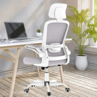 Mimoglad Office Chair, High Back Ergonomic Desk Chair with Adjustable Lumbar Support Moon Grey