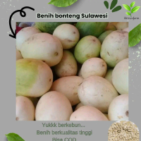 biji bonteng mateng sulawesi isi ( 2000 biji )ada bonus
