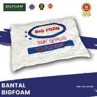 bantal dan guling bigfoam