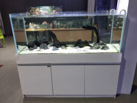 Crystal /Optic Clear Glass Aquarium 180x60x60 cm tebal 15mm