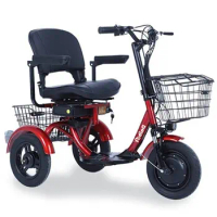 3 Wheel Motorcycle Electric Tricycle Elderly 300W 48V Electric Scooter For Disabled 12 Inch e Scooter With 2 Basket Armrest Seat