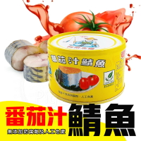 🐟同榮 蕃茄汁鯖魚 茄汁鯖魚 鯖魚 罐頭 同榮罐頭