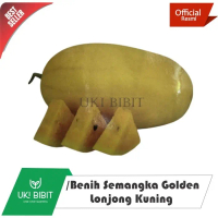 ( 10 Butir ) Benih Semangka Golden | Semangka Kuning