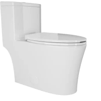 Folding Toilet Dual Flush Elongated Standard One Piece Toilet for Bathroom Comfort Height in White Toilets Cleaning Items Parts