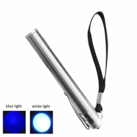 Fast Shipping Powerful Blue &amp; white laser pointer pen Powered by 1xAAA battery, silver body can be used for lens testing