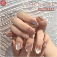 2020年新款流行色冬季美甲加油膠晶眼貓眼石指甲膠冰透秋冬小套系