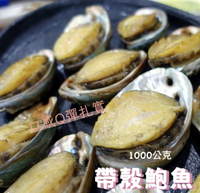 ［誠實討海人］熟凍帶殼鮑魚  (1kg/包)