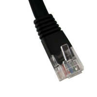 CAT5E CAT.5e 高速網路線 5米 5M 5公尺 純銅