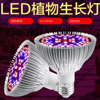 E27 植物燈燈泡 50W LED 植物生長燈全光譜室內花園溫室