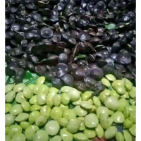 jengkol muda.untuk.coel.sambel.1.kg