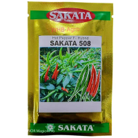 【hot】 Benih Cili Hot Pepper F-1 Hybrid Sakata 508 - ( 5g )