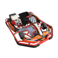 New Generation Adult Racing 200CC Go Kart / Karting Cars for Salecustom