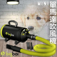 『熱銷上百台』bigboi MINI 寵物單馬達吹風機 吹水機 CP值高 寵物快速吹毛烘乾 機車汽車風力吹乾 現貨可超取