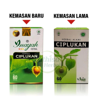 Kapsul Ciplukan Isi 60 Kapsul Herbal alami
