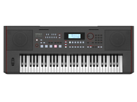 日本代購 空運 2022新款 Roland E-X50 電子琴 61鍵 編曲鍵盤 電鋼琴 自動伴奏 麥克風彈唱