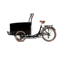 Cargo Electric Bike Dog Care Cargo Bike 3 Wheel Family Adult Bicycle Tricycle Child Seat Bike